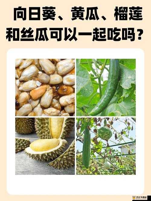 当榴莲秋葵丝瓜草莓黄瓜榴莲 6l 遇到……